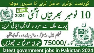 Latest government November jobs 2024 ۔ New jobs 2024 in pakistan۔Latest jobs in Pakistan 2024 today