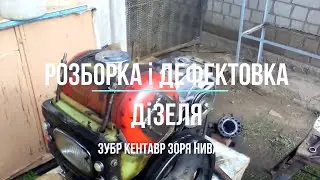 Мотоблок ; Розборка і дефектовка дизеля перед  кап. ремонтом .
