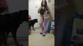 Service Dog Training Akira search to help her stay in place