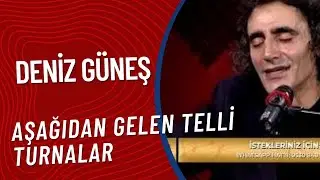 Deniz Güneş  -  Aşağıdan Gelen Telli Turnalar