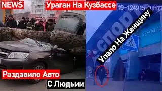 Дерево Раздавило Машину С Людьми В Новокузнецке! Женщину Придавило Огромной Вывеской В Кузбассе!