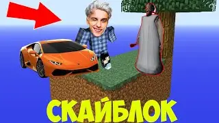 ГРЕННИ И РЕБЕНОК ХУЛИГАН ВЫЖИВАЮТ НА 1 БЛОКЕ В МАЙНКРАФТ ВЛАД А4 ПРИШЕЛ В ГОСТИ