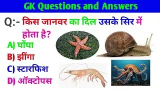 25 Fun and Interesting General Knowledge Questions and Answers | GK Quiz in Hindi #gk