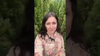 ЗАБЕРИТЕ ГАЙД ПО УХОДУ ЗА ТУЯМИ НА 10 ЛИСТАХ 👉 ссылка в описании канала 