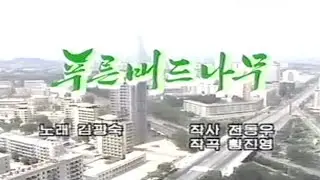 푸른 버드나무 (Blue* Willow)
