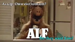 Альф. Вони його хочуть? Alf. Do they want him? Альф. Они его хотят? #alf