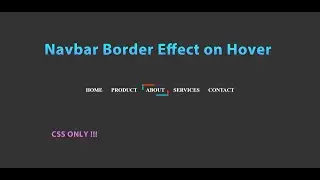 Navbar In HTML & CSS | Navigation Border Effect on Hover | Pure CSS Animation | Amin Coding