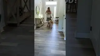 My Dog Meets His Son
