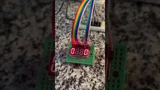 Animatronic Robot