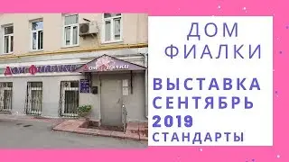Выставка в Доме Фиалки Сентябрь 2019 Стандарты