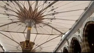 Madina Live
