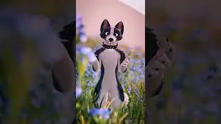 Fursona Species