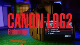 Le C-LOG2 sur le CANON EOS R5 Mark II et étalonnage rapide sur Davinci Resolve