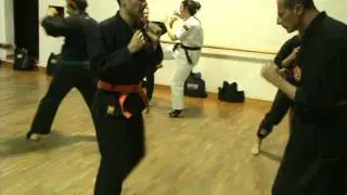 KENPO JYUTSU parry&counter kick1