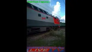 From train я прыгнул люблю поезда