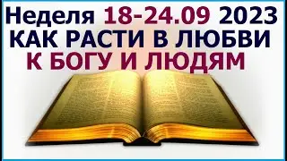 Неделя 18 - 24 сентября 2023 г.: о том как расти в любви к Иегове и ближним. Свидетели Иеговы