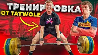 TATWOLE / САМЫЙ ПОПУЛЯРНЫЙ ФИТНЕС БЛОГЕР