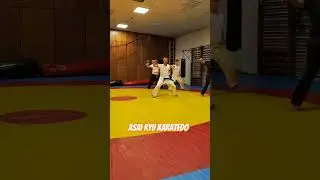 Asai Ryu karatedo. Элементы техники. #asairyu #каратэ #karate