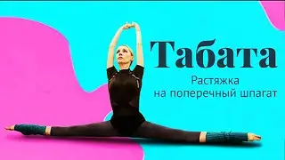 ТАБАТА: растяжка на поперечный шпагат. Фитнес ТВ