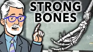 Bone Health