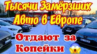 Тысячи Замёрзших Автомобилей в Европе !!! ОТДАЮТ ЗА КОПЕЙКИ !?