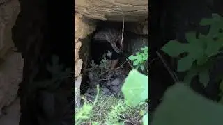 Гробница великана!