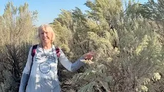 #1332 Орегон Город Редмонд Обзор отеля и города Мои покупки