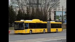 Поездка на автобусе МАЗ-215.069, гос.№ АС 5304-7, марш.84