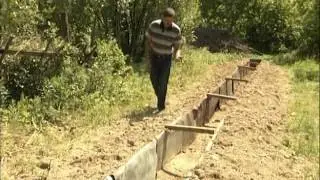 Виноградник в Сибири