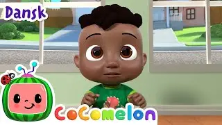 Cody flytter ind ved siden af | Børnesange for Babyer | CoComelon Dansk