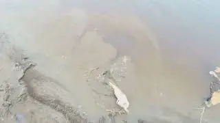 Проверка  жерлиц =  поставушек.  Первый  налим   !!!