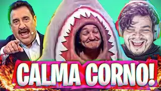 Que BURRO Da Zero Pra Ele! kkk DNA do Ratinho Melhores Momentos
