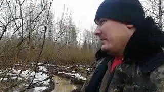 Переезд в болоте  (часть 2-я)