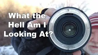 Why MANUAL MODE Made My Photograph Dark | Understanding Camera Settings and Depth of Field