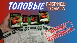 Какие Гибриды Томата я буду Выращивать в 2024 году?