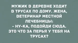 Мужик в деревне ходит с перьями на трусах. Смех! Юмор! Позитив!