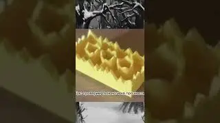 #meme#рекомендации#рек#хозяинлеса#жиза