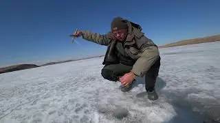 ЭТИ КАБАНЫ ПРУТ КАК ТАНКИ! рыбалка на карася весной! ловля карася на кресты