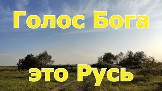 Георгий Шлифер 