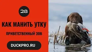 28. Обучающее видео от Elite Duck Calls.  Приветственный зов.  Русская озвучка.