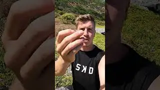 My Favorite Bushfood (Pigface)
