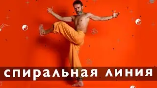 Спиральная миофасциальная  линия. Проработка стоя. Йога взаимодействия