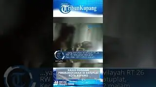Viral! Kasus Dugaan Perselingkuhan Sopir dan Majikan di Batuplat, Kota Kupang