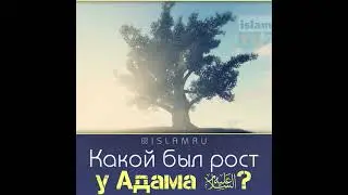 Адам был ростом в 30 метров?