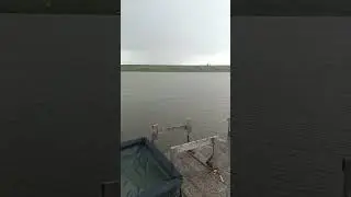 дождик не помеха
