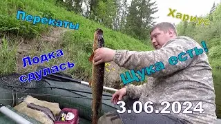 Спиннинг на речке. 3.06.2024.р. Неленьга. Немного щук и один хариусок.