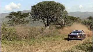 Day 2 - Safari Rally Kenya 2021 - L. Bertelli / S. Scattolin - Ford Fiesta WRC+