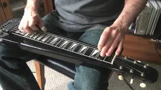 The Endless Summer - steel guitar