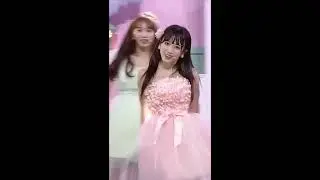 [세로캠] 야부키 나코 - 너에게 닿기를 (Yabuki nako - To reach you - Phone screen full mode)