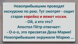 ✡️ Новоприбывшие в Раю встретили Деву Марию! Еврейские Анекдоты! Про Евреев! Выпуск 